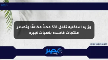 وزارة الداخلية تغلق 531 محلاً مخالفًا وتصادر منتجات فاسدة بكميات كبيرة